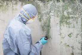 Best Environmental Consulting for Mold Prevention  in Gettysburg, PA